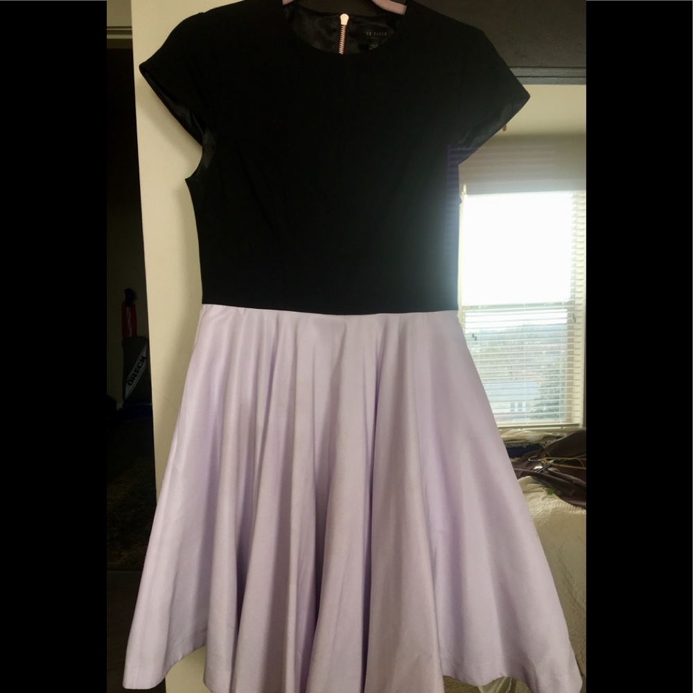 Ted Baker Women's Purple Dress - Pataj Color Block